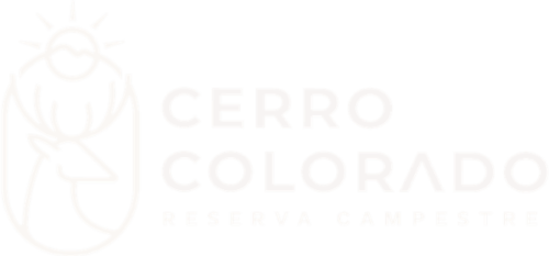 Logo Cerro colorado blanco